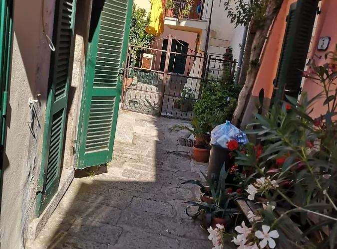 Moonlight San Piero in Campo (Isola d'Elba)